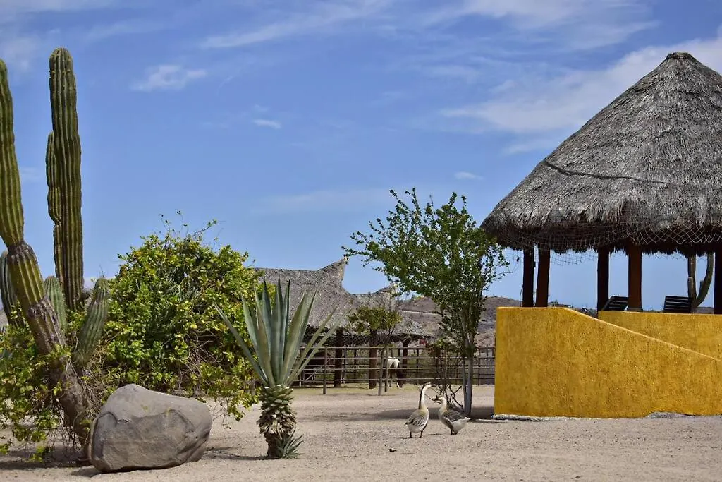Rancho San Lorenzo - 2 Bedroom House In Authentic Ranch - Casa Bugambilias-1